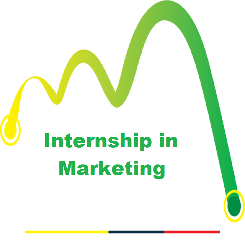 online internship company multan