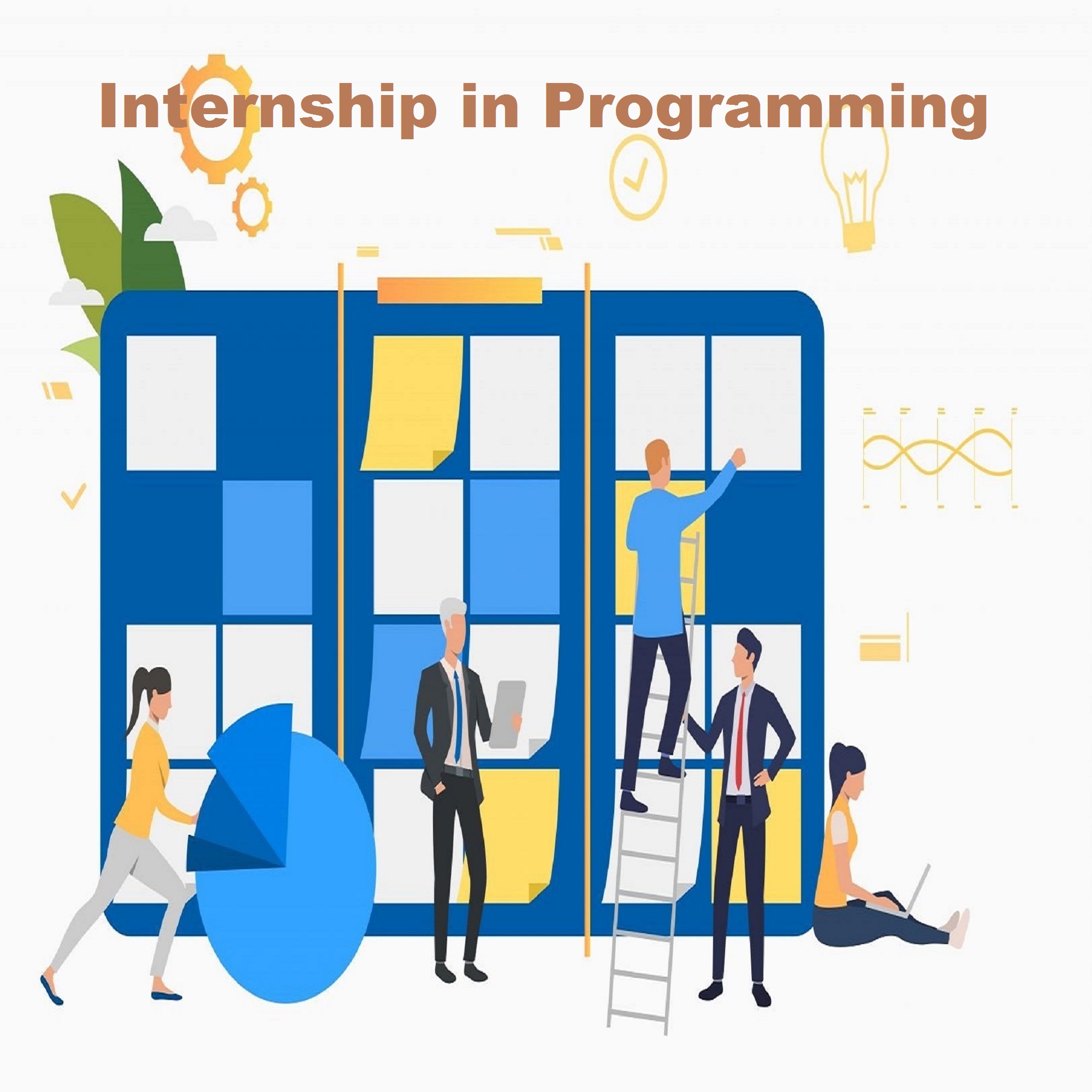online internship progamming company multan